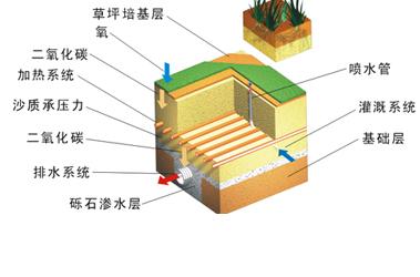 人造草的结构及特性